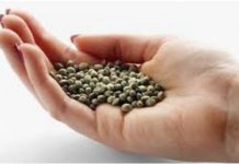 Why Ditch your Dealer and Grow your Own Marihuana