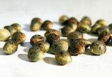 Why Has Growing Marihuana Indoors Become Popular?