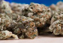 How To Grow Marihuana Indoors