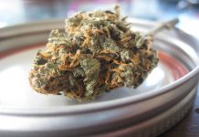 Common Problems of Growing Marihuana Outdoors